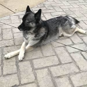 Meet your Posher, Maretta